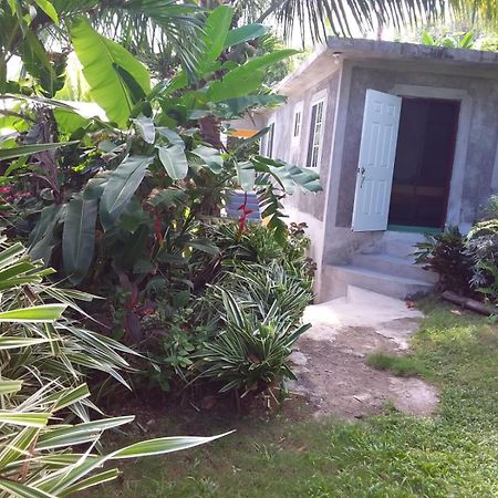 Port Antonio Brian'S Beach House Εξωτερικό φωτογραφία