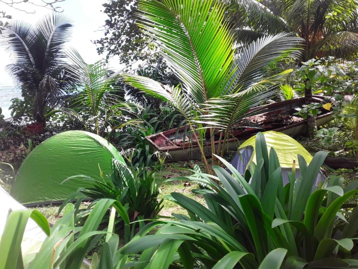 Port Antonio Brian'S Beach House Εξωτερικό φωτογραφία