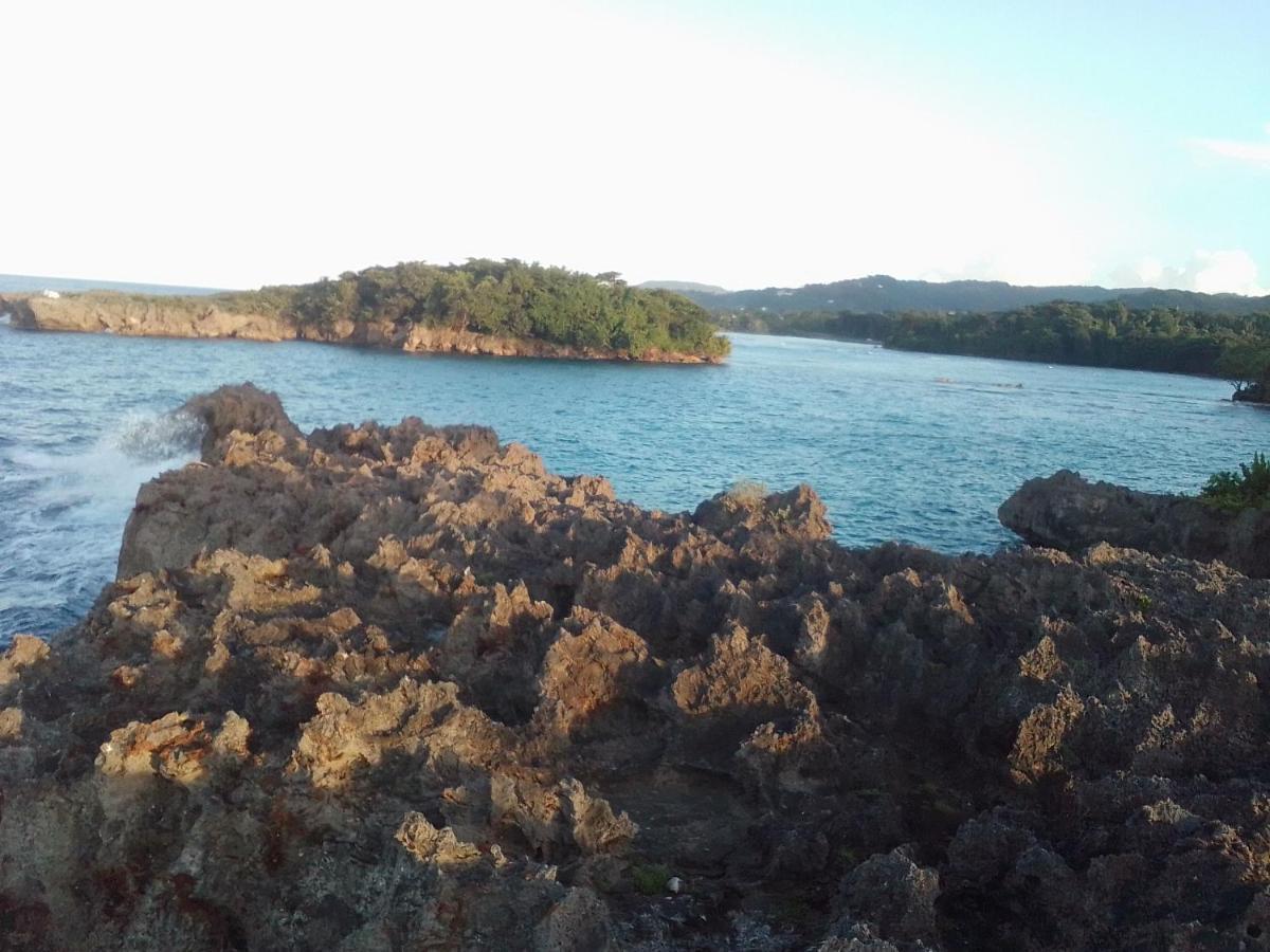 Port Antonio Brian'S Beach House Εξωτερικό φωτογραφία