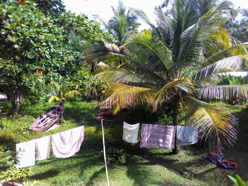Port Antonio Brian'S Beach House Εξωτερικό φωτογραφία