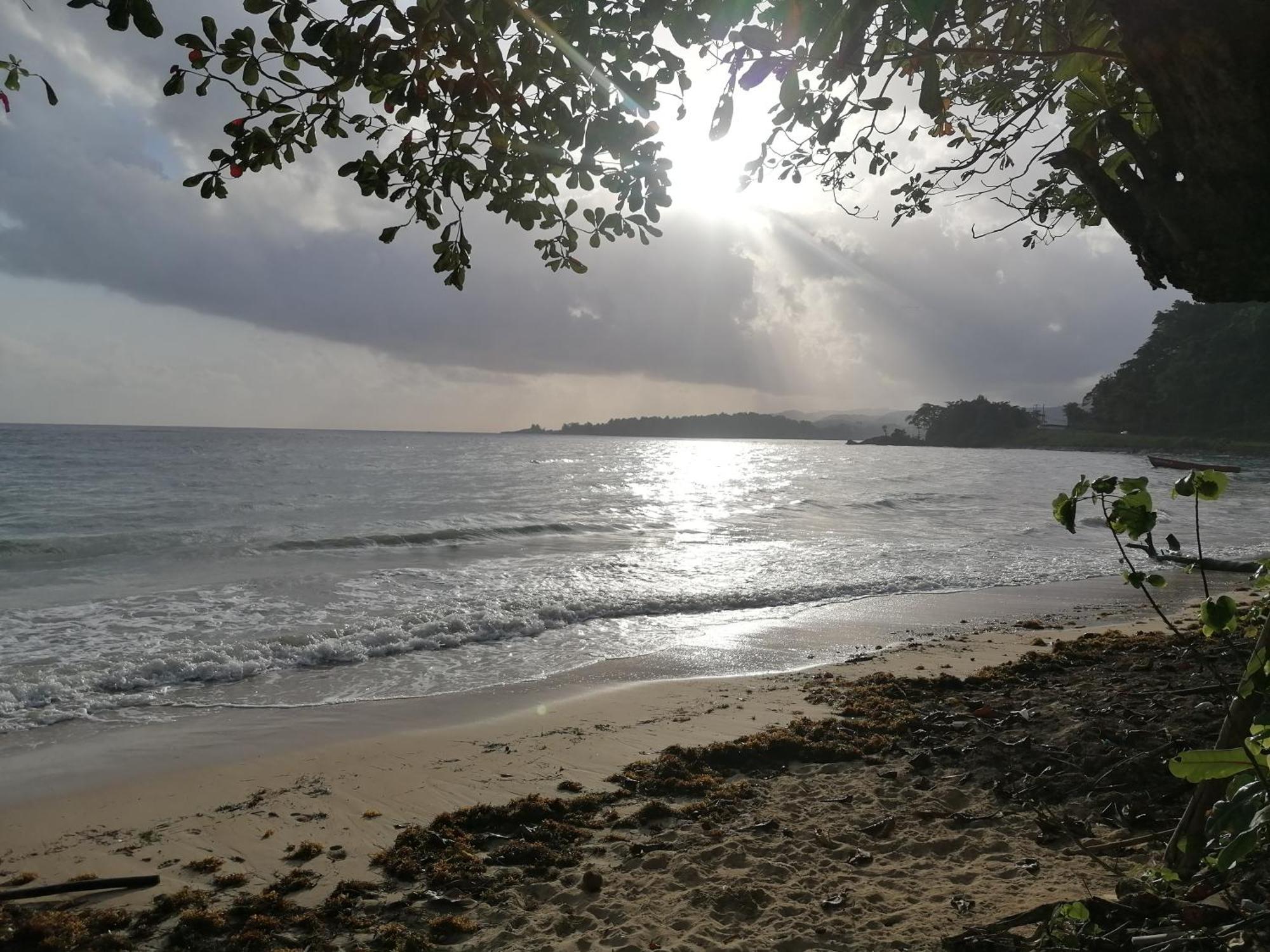 Port Antonio Brian'S Beach House Εξωτερικό φωτογραφία