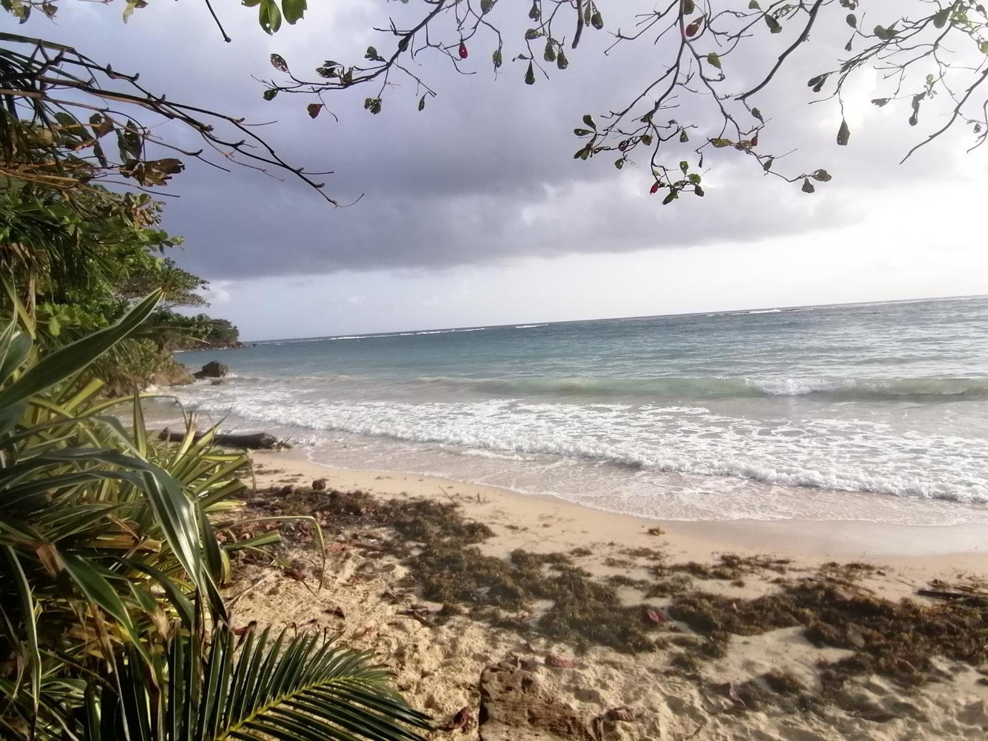 Port Antonio Brian'S Beach House Εξωτερικό φωτογραφία