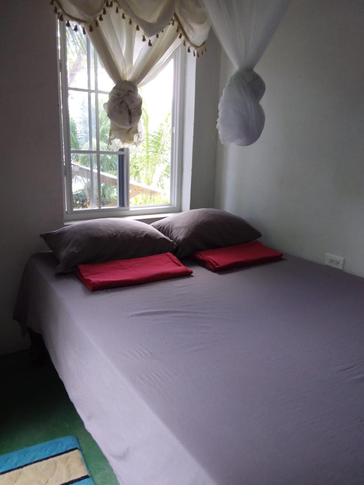 Port Antonio Brian'S Beach House Εξωτερικό φωτογραφία