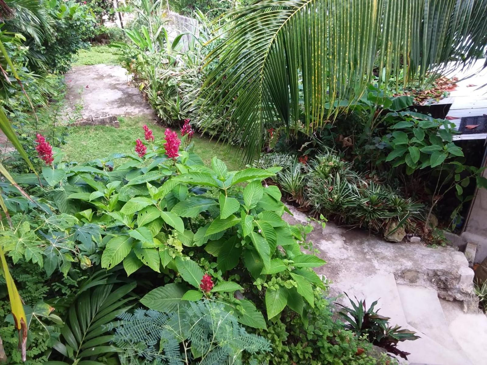 Port Antonio Brian'S Beach House Εξωτερικό φωτογραφία