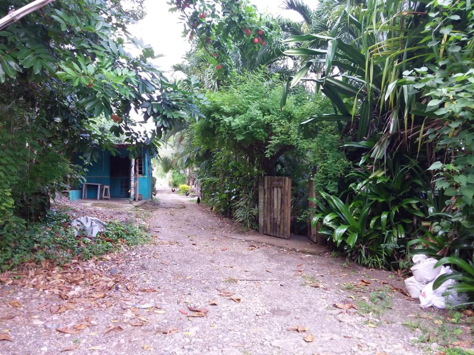 Port Antonio Brian'S Beach House Εξωτερικό φωτογραφία