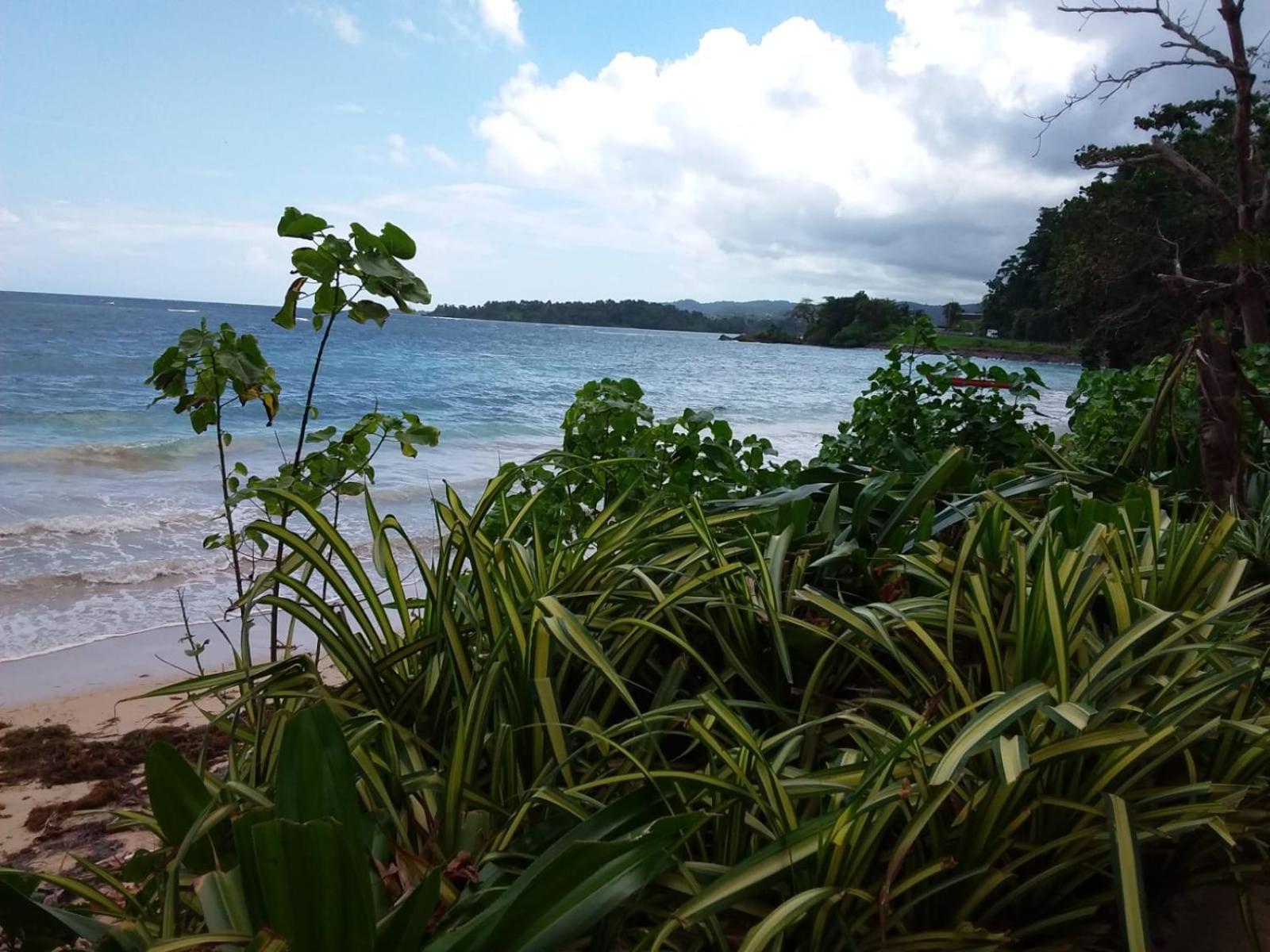 Port Antonio Brian'S Beach House Εξωτερικό φωτογραφία