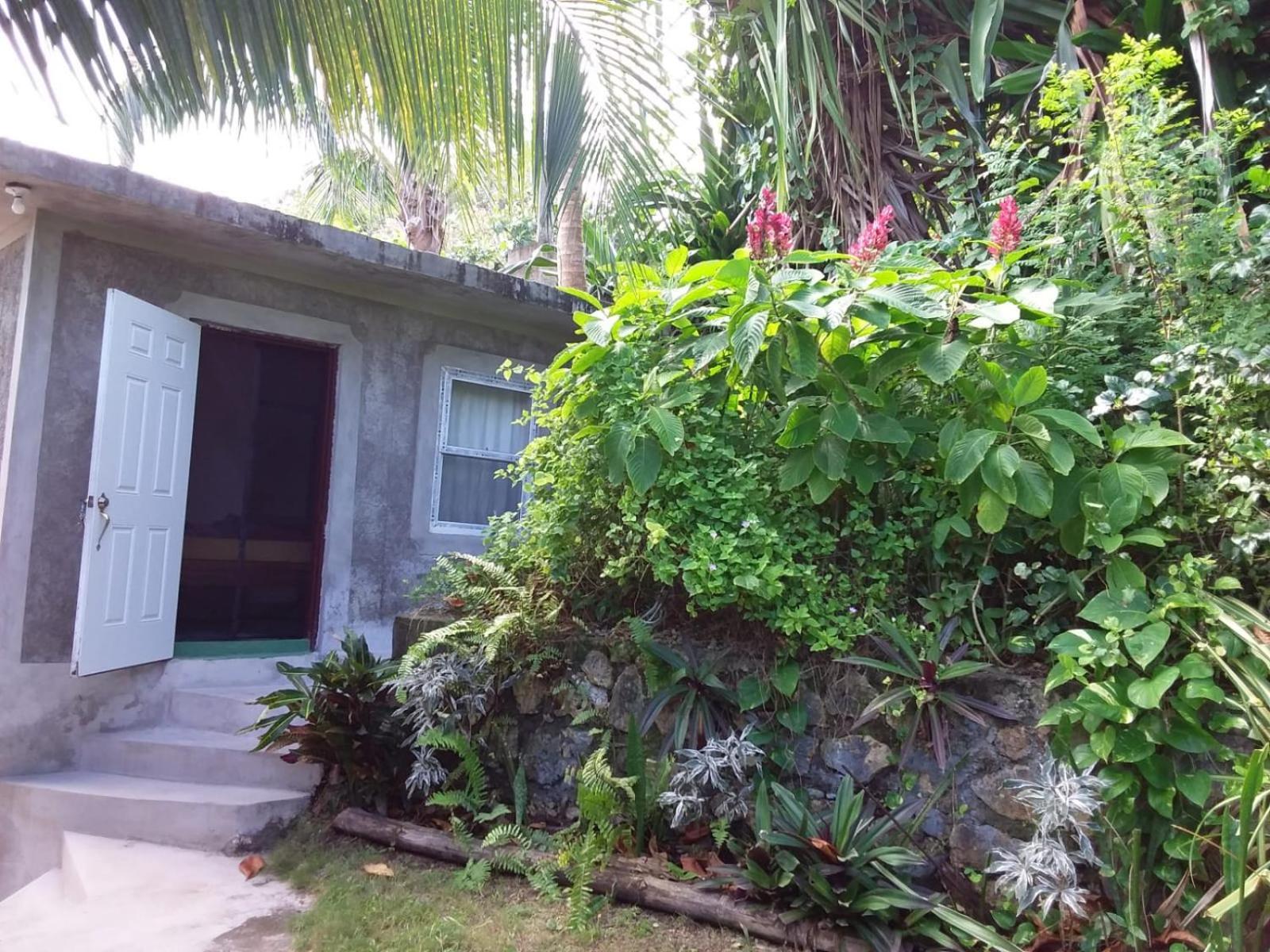 Port Antonio Brian'S Beach House Εξωτερικό φωτογραφία
