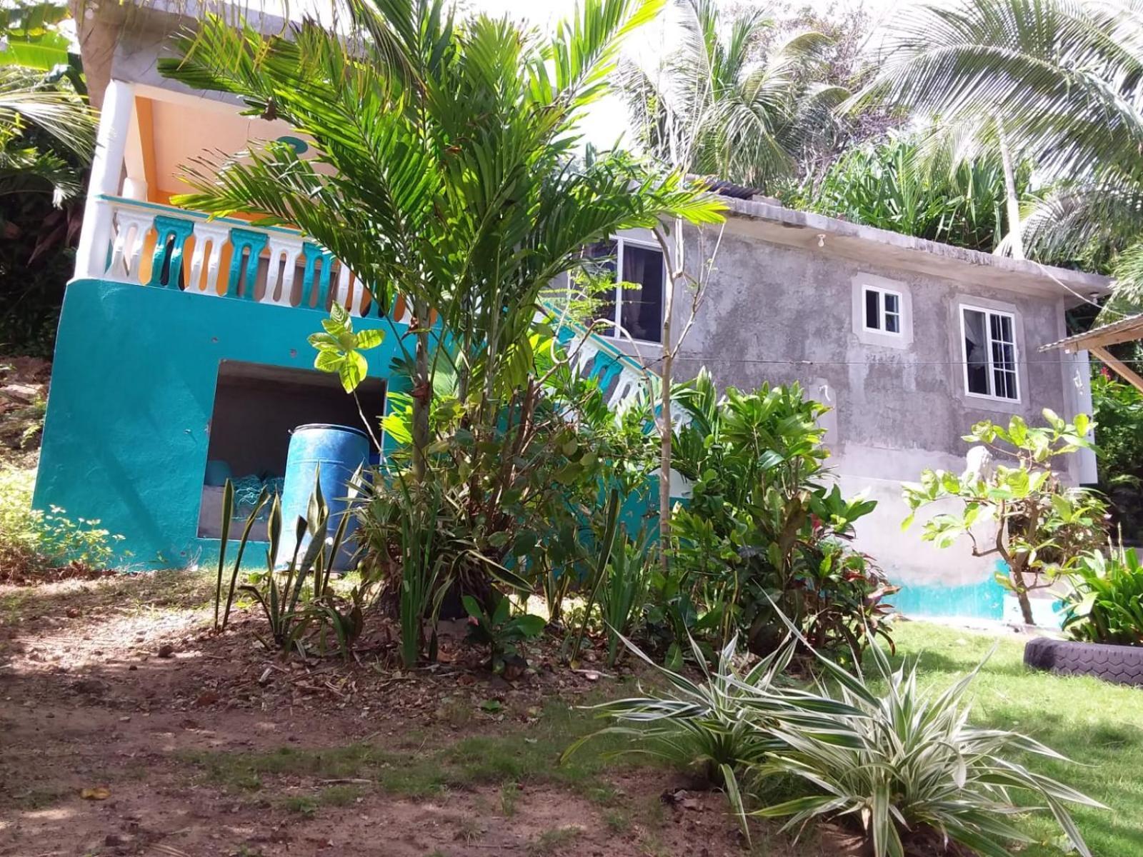 Port Antonio Brian'S Beach House Εξωτερικό φωτογραφία