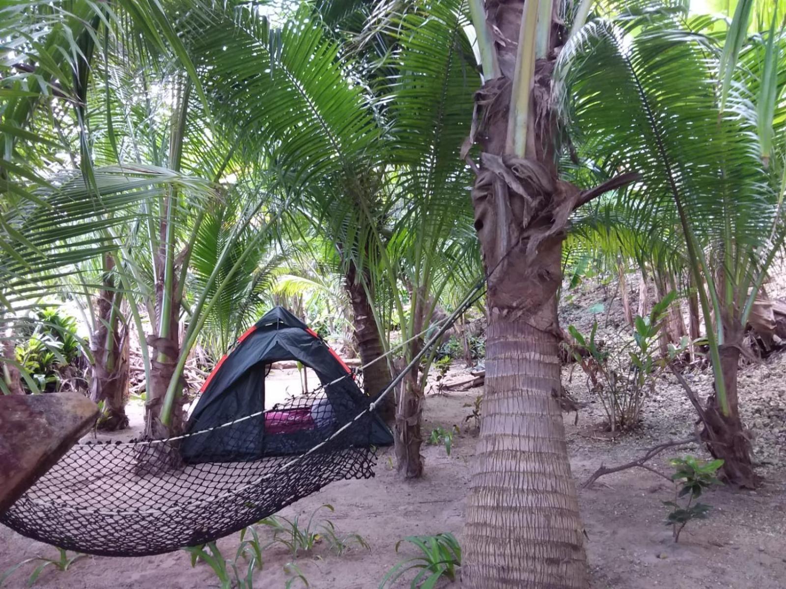 Port Antonio Brian'S Beach House Εξωτερικό φωτογραφία