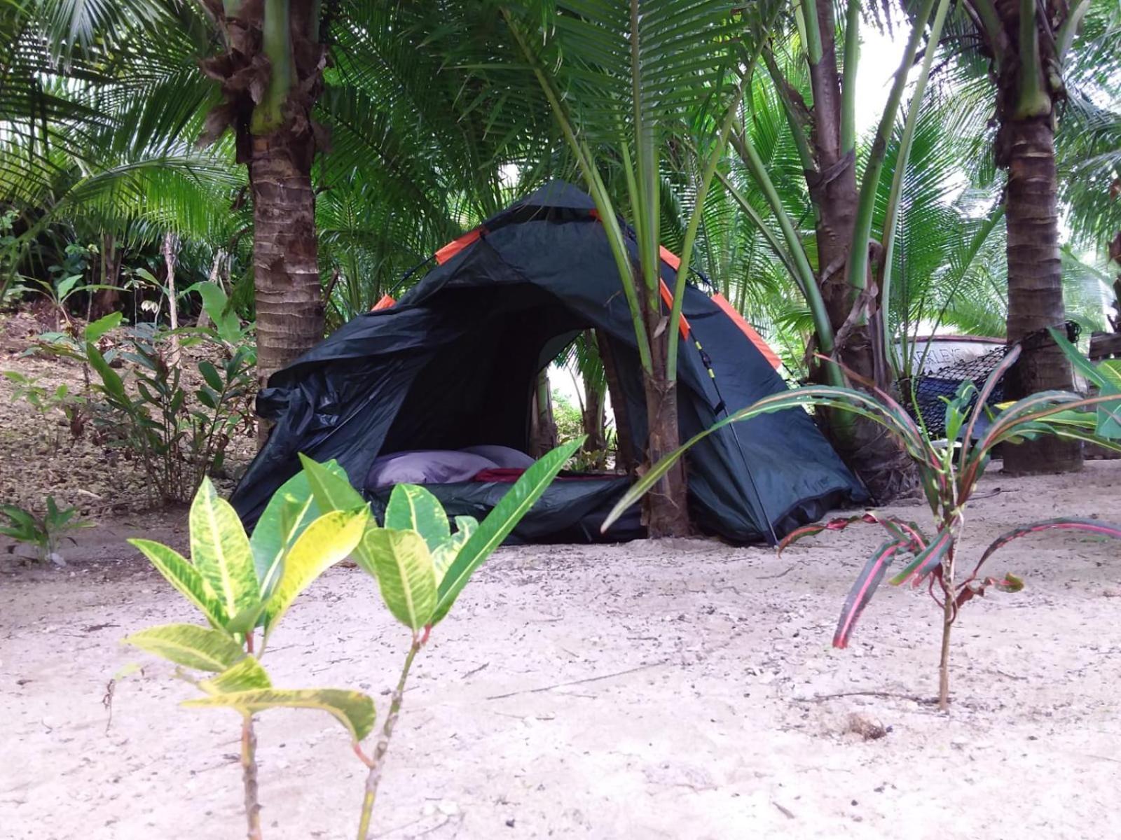 Port Antonio Brian'S Beach House Εξωτερικό φωτογραφία