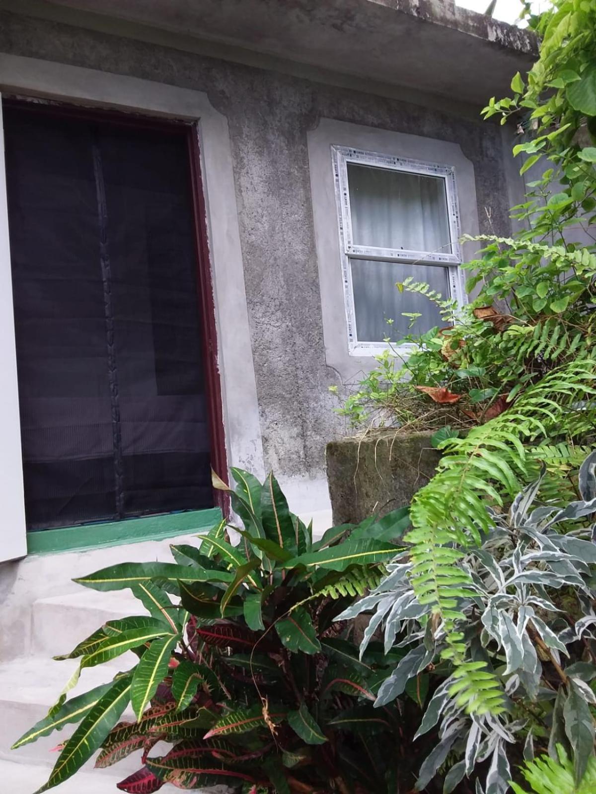 Port Antonio Brian'S Beach House Εξωτερικό φωτογραφία