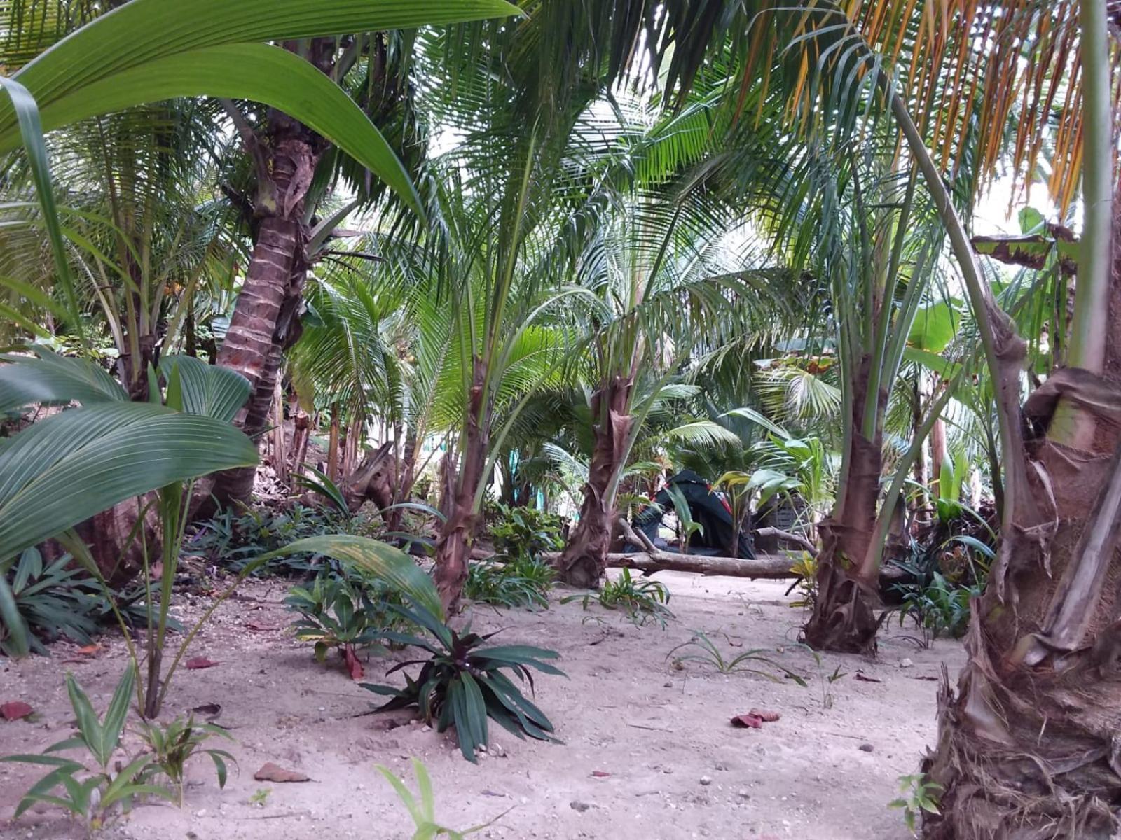 Port Antonio Brian'S Beach House Εξωτερικό φωτογραφία