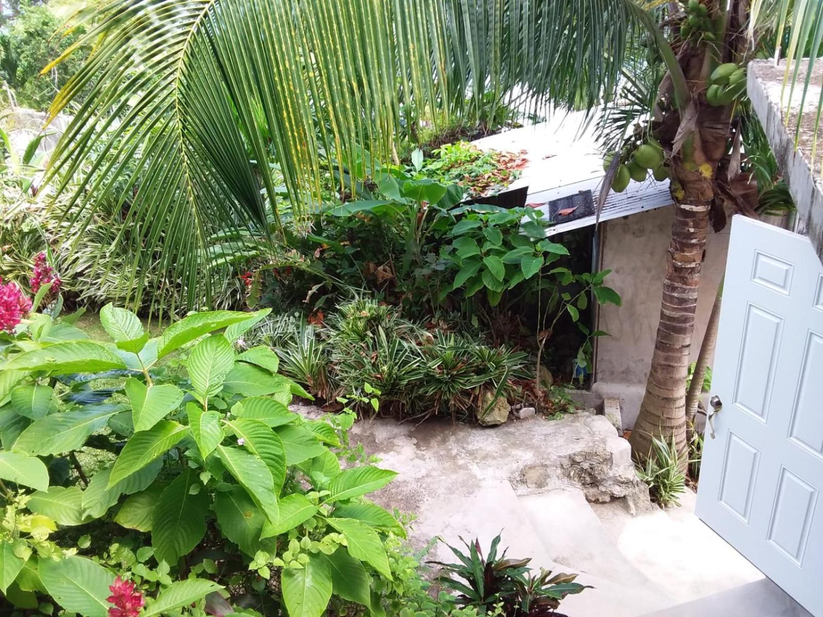 Port Antonio Brian'S Beach House Εξωτερικό φωτογραφία